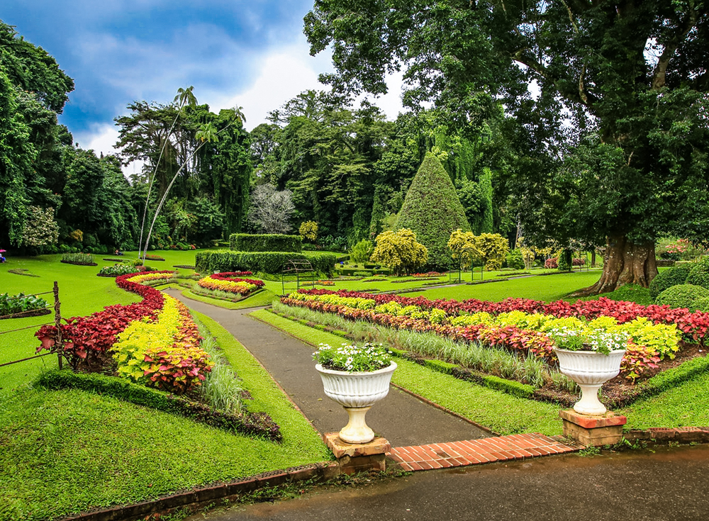 hakgala botanical garden